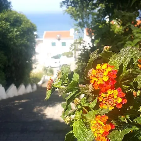 Vila Ocean With Private Pool Ericeira